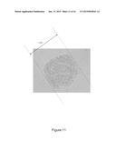 Plant Tissue Sampling Method and Plant Gene Analysis Method diagram and image