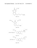 Methods and Compositions for Selective Labeling of Different Biotinylated     Targets within Multicolor or Multilabel Assays diagram and image