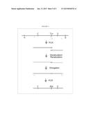 PHOSPHORYLATION ON THE THR-248 AND/OR THR-250 RESIDUES OF TRANSCRIPTION     FACTOR E2F4 AS A THERAPEUTIC TARGET IN PATHOLOGICAL PROCESSES ASSOCIATED     WITH SOMATIC POLYPLOIDY diagram and image