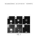 COMPOSITIONS AND METHODS FOR DELIVERY OF KINASE INHIBITING PEPTIDES diagram and image