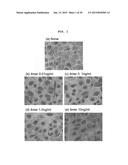 SIRTUIN INDUCER, TISSUE REPAIRING AGENT, HEPATOCYTE GROWTH FACTOR INDUCER,     TISSUE HOMEOSTASIS MAINTENANCE AGENT, AND TLR4 AGONIST, HAVING HYALURONIC     ACID FRAGMENT AS ACTIVE INGREDIENT diagram and image