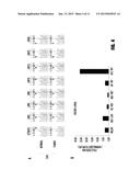 3B-HYDROXYSTEROID DEHYDROGENASE IN STEROID-DEPENDENT DISEASE diagram and image