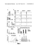 3B-HYDROXYSTEROID DEHYDROGENASE IN STEROID-DEPENDENT DISEASE diagram and image