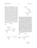 Nuclear Transport Modulators and Uses Thereof diagram and image