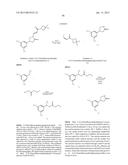 Nuclear Transport Modulators and Uses Thereof diagram and image