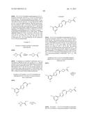 Nuclear Transport Modulators and Uses Thereof diagram and image