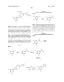 Nuclear Transport Modulators and Uses Thereof diagram and image