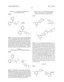 Nuclear Transport Modulators and Uses Thereof diagram and image