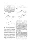 Nuclear Transport Modulators and Uses Thereof diagram and image