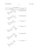 Nuclear Transport Modulators and Uses Thereof diagram and image