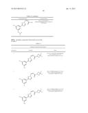 Nuclear Transport Modulators and Uses Thereof diagram and image