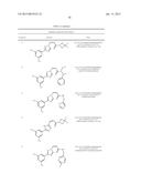 Nuclear Transport Modulators and Uses Thereof diagram and image