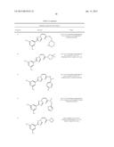 Nuclear Transport Modulators and Uses Thereof diagram and image