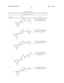 Nuclear Transport Modulators and Uses Thereof diagram and image