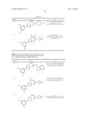 Nuclear Transport Modulators and Uses Thereof diagram and image