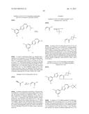 Nuclear Transport Modulators and Uses Thereof diagram and image