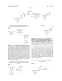 Nuclear Transport Modulators and Uses Thereof diagram and image