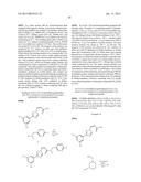 Nuclear Transport Modulators and Uses Thereof diagram and image