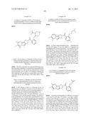 Tetraaza-cyclopenta[a]indenyl and their use as Positive Allosteric     Modulators diagram and image