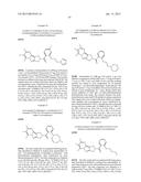 Tetraaza-cyclopenta[a]indenyl and their use as Positive Allosteric     Modulators diagram and image