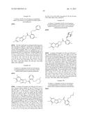 Tetraaza-cyclopenta[a]indenyl and their use as Positive Allosteric     Modulators diagram and image