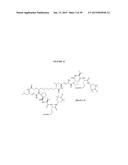 COMPOUNDS FOR THE TREATMENT OF PATHOLOGIES ASSOCIATED WITH AGING AND     DEGENERATIVE DISORDERS diagram and image