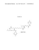 COMPOUNDS FOR THE TREATMENT OF PATHOLOGIES ASSOCIATED WITH AGING AND     DEGENERATIVE DISORDERS diagram and image