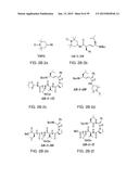 COMPOUNDS FOR THE TREATMENT OF PATHOLOGIES ASSOCIATED WITH AGING AND     DEGENERATIVE DISORDERS diagram and image