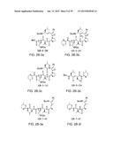 COMPOUNDS FOR THE TREATMENT OF PATHOLOGIES ASSOCIATED WITH AGING AND     DEGENERATIVE DISORDERS diagram and image