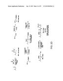 COMPOUNDS FOR THE TREATMENT OF PATHOLOGIES ASSOCIATED WITH AGING AND     DEGENERATIVE DISORDERS diagram and image