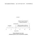 COMPOUNDS FOR THE TREATMENT OF PATHOLOGIES ASSOCIATED WITH AGING AND     DEGENERATIVE DISORDERS diagram and image