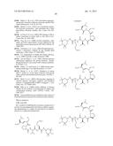 COMPOUNDS FOR THE TREATMENT OF PATHOLOGIES ASSOCIATED WITH AGING AND     DEGENERATIVE DISORDERS diagram and image