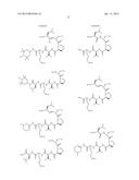 COMPOUNDS FOR THE TREATMENT OF PATHOLOGIES ASSOCIATED WITH AGING AND     DEGENERATIVE DISORDERS diagram and image