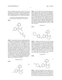 Lactam Kinase Inhibitors diagram and image