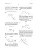 Lactam Kinase Inhibitors diagram and image