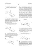 Lactam Kinase Inhibitors diagram and image