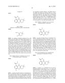 FUSED TETRA OR PENTA-CYCLIC PYRIDOPHTHALAZINONES AS PARP INHIBITORS diagram and image