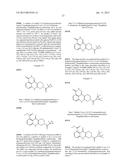 FUSED TETRA OR PENTA-CYCLIC PYRIDOPHTHALAZINONES AS PARP INHIBITORS diagram and image