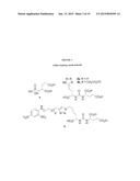 CHIMERIC SMALL MOLECULES FOR THE RECRUITMENT OF ANTIBODIES TO CANCER CELLS diagram and image