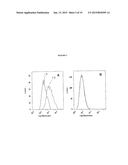 CHIMERIC SMALL MOLECULES FOR THE RECRUITMENT OF ANTIBODIES TO CANCER CELLS diagram and image