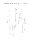 CHIMERIC SMALL MOLECULES FOR THE RECRUITMENT OF ANTIBODIES TO CANCER CELLS diagram and image