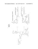 CHIMERIC SMALL MOLECULES FOR THE RECRUITMENT OF ANTIBODIES TO CANCER CELLS diagram and image