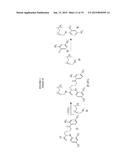 CHIMERIC SMALL MOLECULES FOR THE RECRUITMENT OF ANTIBODIES TO CANCER CELLS diagram and image