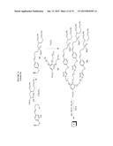 CHIMERIC SMALL MOLECULES FOR THE RECRUITMENT OF ANTIBODIES TO CANCER CELLS diagram and image