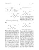 CHIMERIC SMALL MOLECULES FOR THE RECRUITMENT OF ANTIBODIES TO CANCER CELLS diagram and image