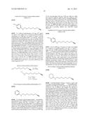 CHIMERIC SMALL MOLECULES FOR THE RECRUITMENT OF ANTIBODIES TO CANCER CELLS diagram and image