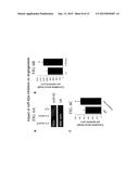 METHOD FOR PROMOTING ANGIOGENESIS, VASCULARIZATION OR VESSEL REPAIR OR FOR     INHIBITING TUMOR ANGIOGENESIS diagram and image