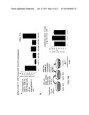 METHOD FOR PROMOTING ANGIOGENESIS, VASCULARIZATION OR VESSEL REPAIR OR FOR     INHIBITING TUMOR ANGIOGENESIS diagram and image