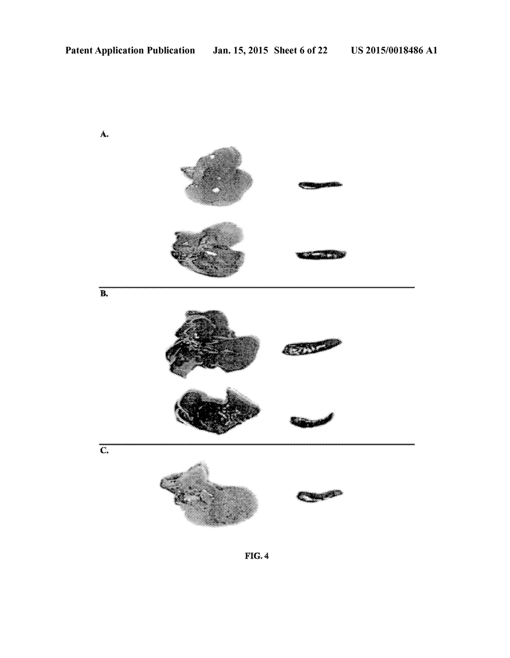 Nanotherapeutic Colloidal Metal Compositions and Methods - diagram, schematic, and image 07