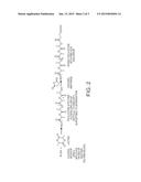 Anhydride End-Capping of Polymers diagram and image